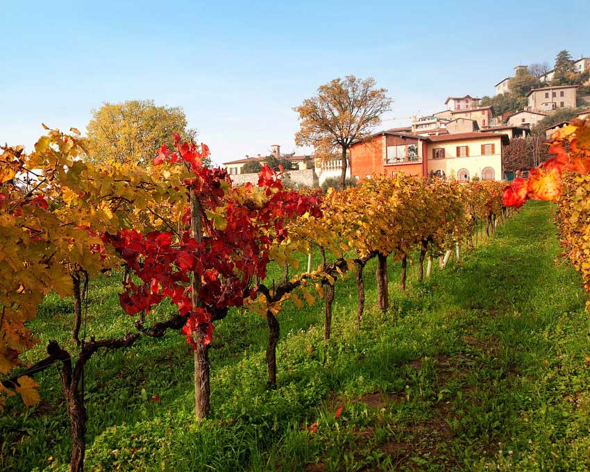 Corte Lantieri vingårdsupplevelse iseosjön